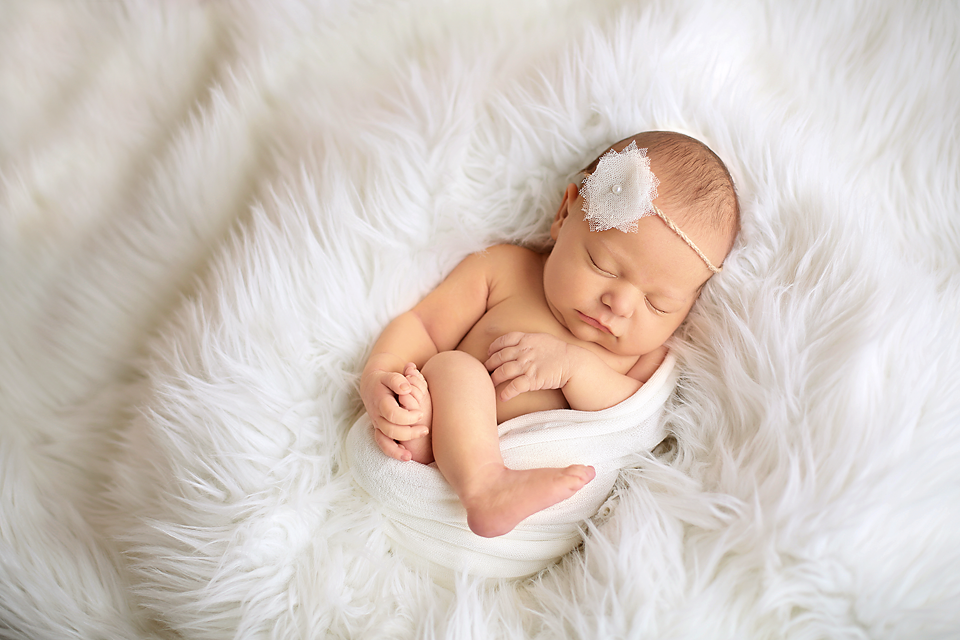 Annapolis Newborn Photographer