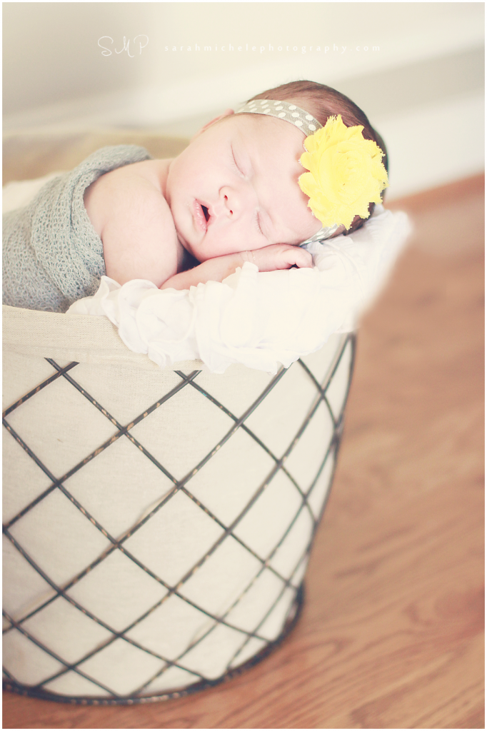 Quinn-NB-SMP--(1)-copy