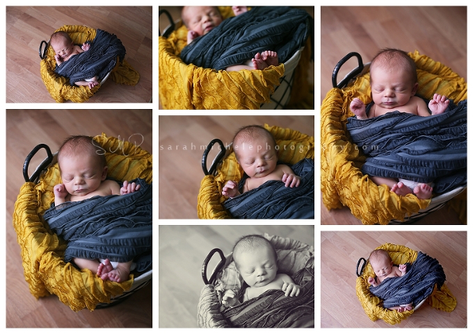 newborn photography baby boy in basket with yellow and grey 