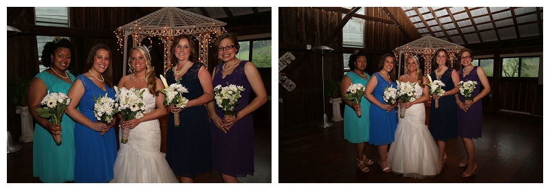 Frederick Maryland Wedding Photographer | Ostertag Vistas 