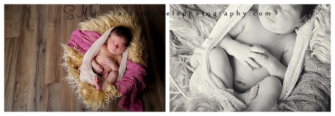 Annapolis Newborn Photographer | Newborn Portraits 