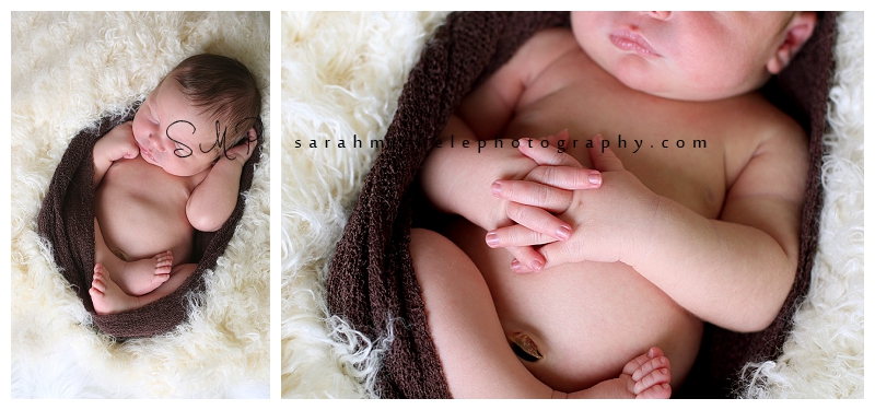 Annapolis Newborn Photographer 