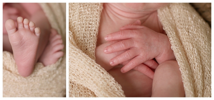 Annapolis Newborn Photographer |