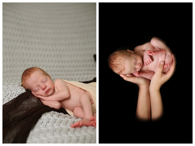 Annapolis Newborn Photographer |