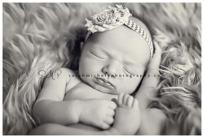 Annapolis Newborn Photographer 