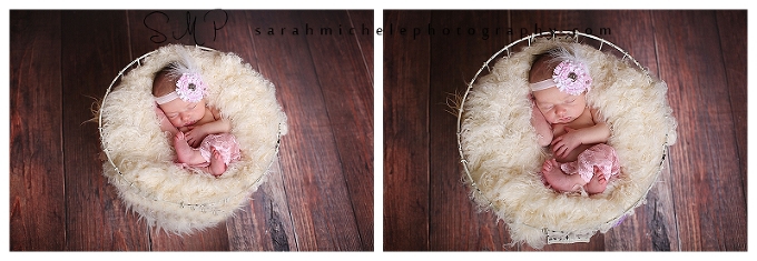 Annapolis Newborn Photographer 