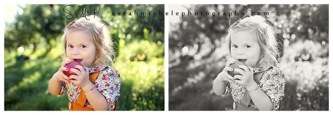 Maryland Family Photographer Baughers Apple orchard 