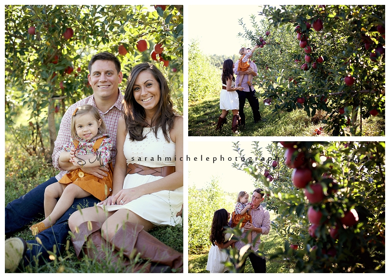 Maryland family photographer Apple orchard 