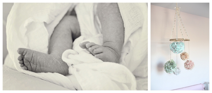 Annapolis Newborn Photographer | carroll County Newborn Photographer