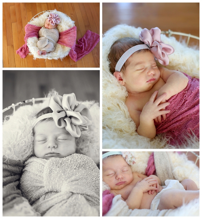 Annapolis Newborn Photographer | carroll County Newborn Photographer