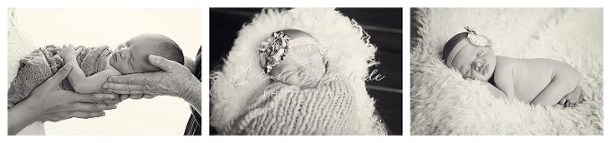 Annapolis Newborn Photographer 