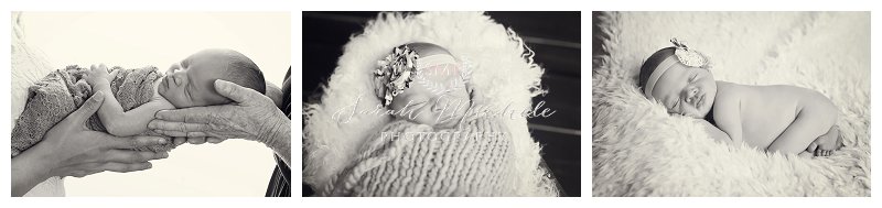 Annapolis Newborn Photographer
