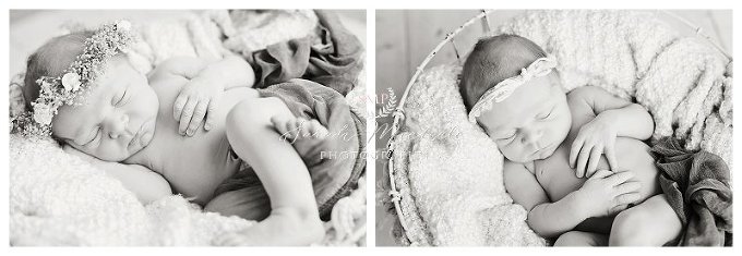 Annapolis newborn Photographer black and white newborn 