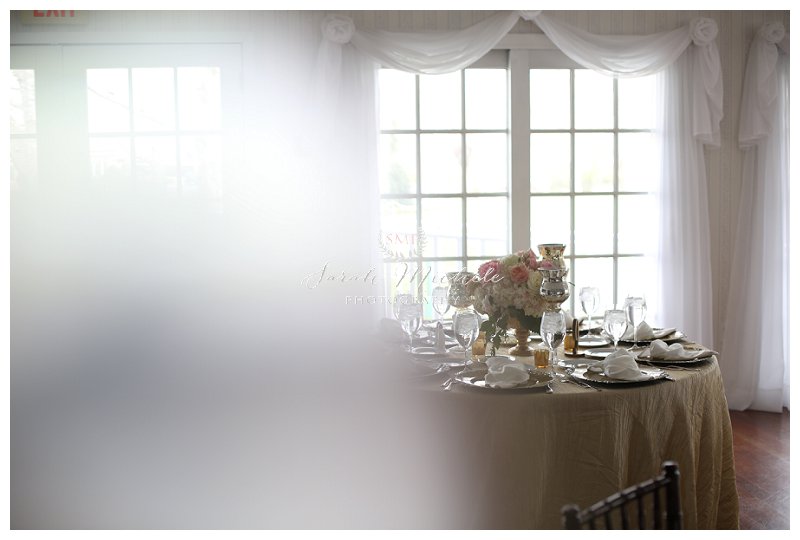 carroll county wedding photographer 