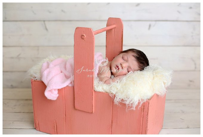 annapolis newborn photographer