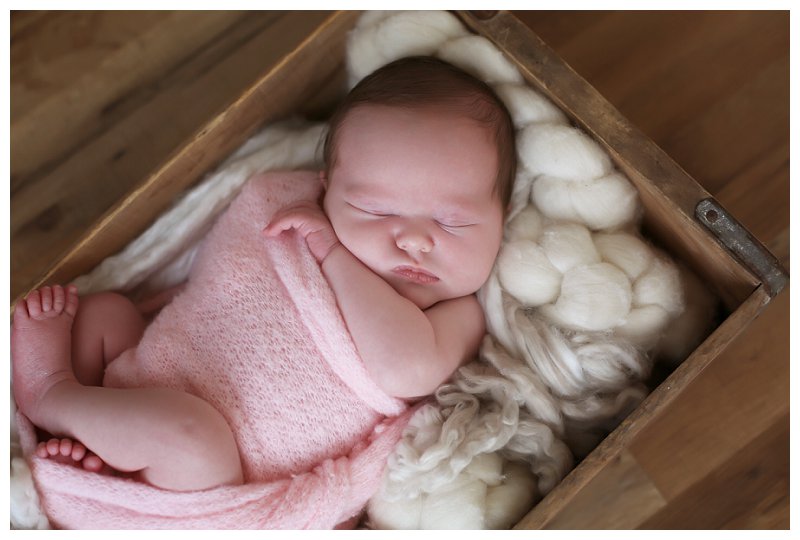 Annapolis Newborn Photographer