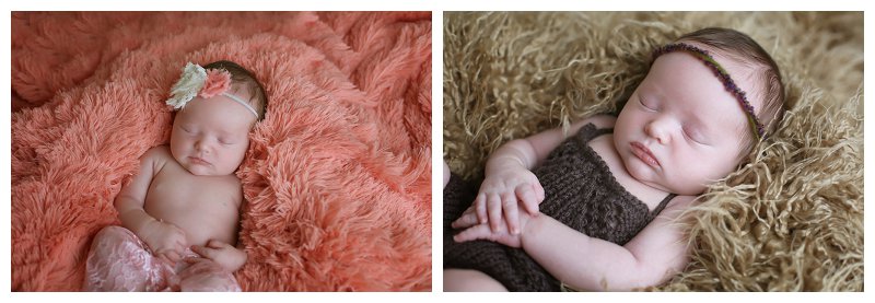 Annapolis Newborn Photographer