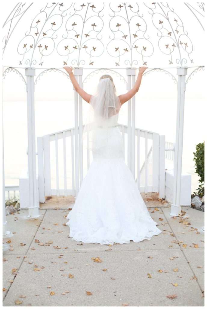 Annapolis Wedding photographer bridal portrait celebrations at the bay 