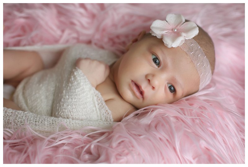Annapolis Newborn Photographer 