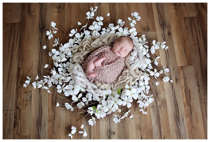 Annapolis Newborn Photography 