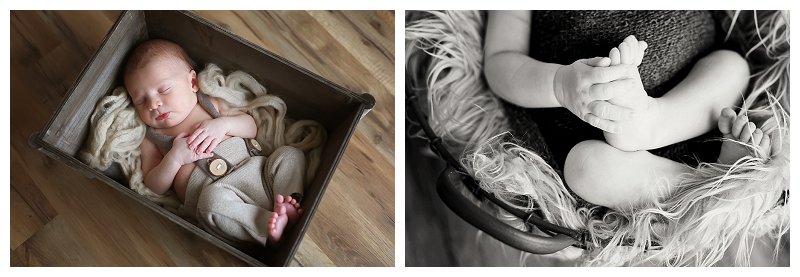Annapolis Newborn Photographer