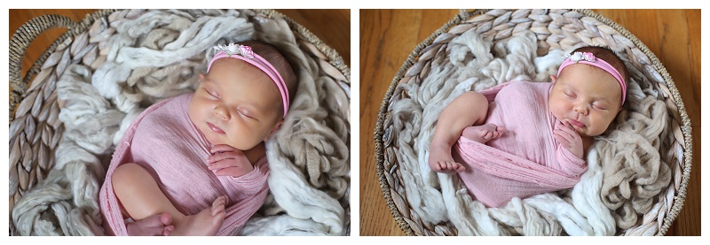 Annapolis Newborn Photographer 