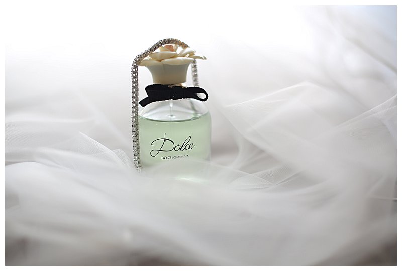 Annapolis Wedding photographer