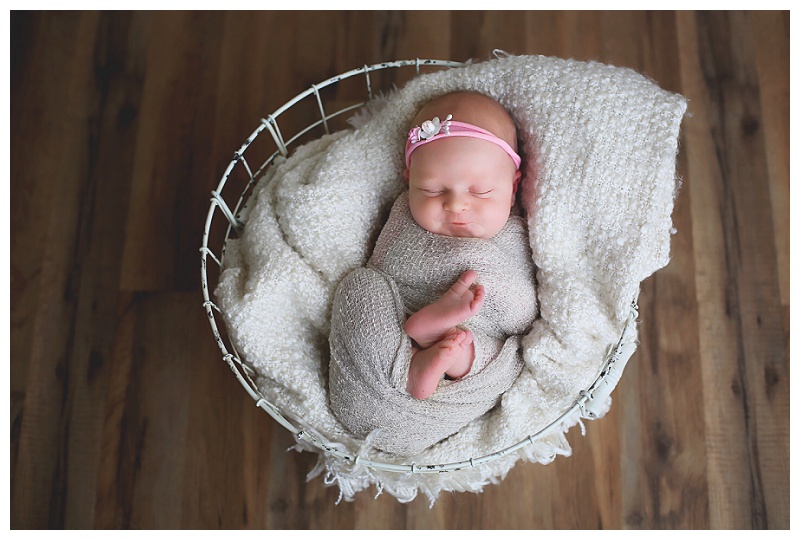 Annapolis Newborn Photographer