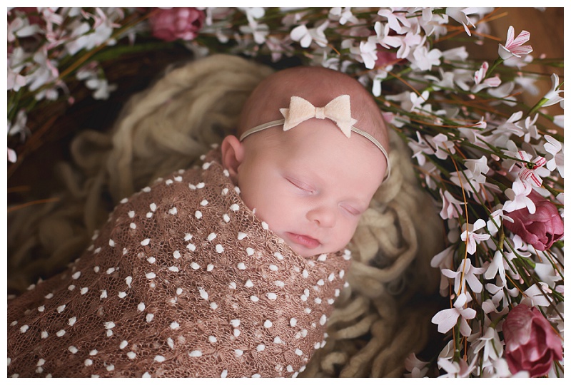 Annapolis Newborn Photographer 