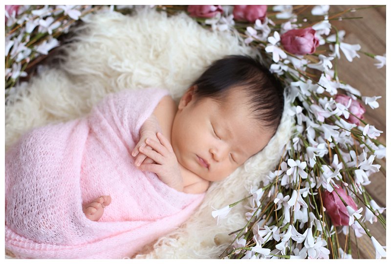 Annapolis Newborn Photographer 