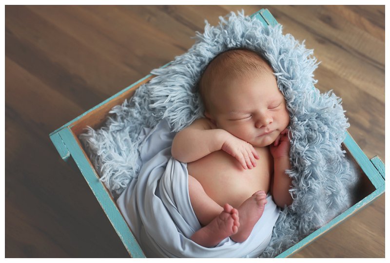Annapolis Newborn Photographer 