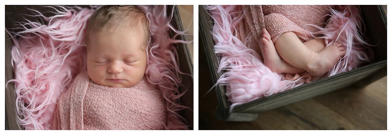 Annapolis Newborn Photographer 