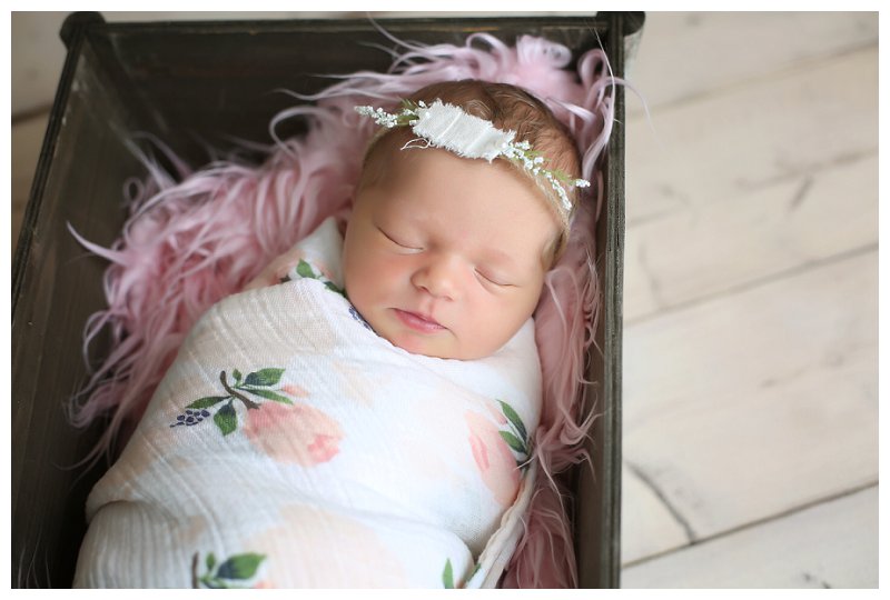 Annapolis Newborn Photographer 