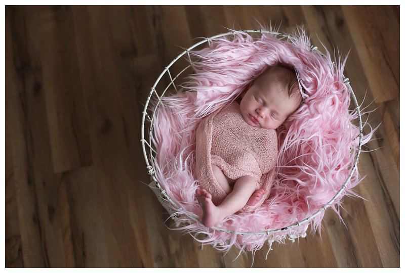 Annapolis Newborn Photographer 