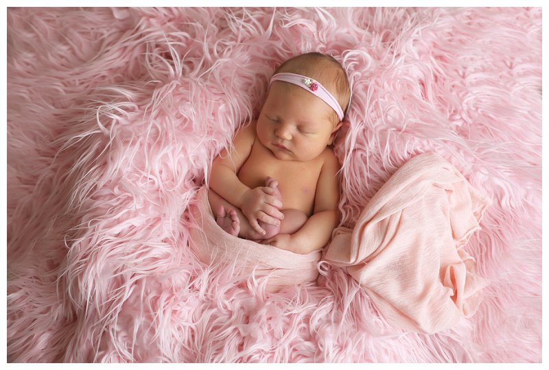 Annapolis Newborn Photographer 