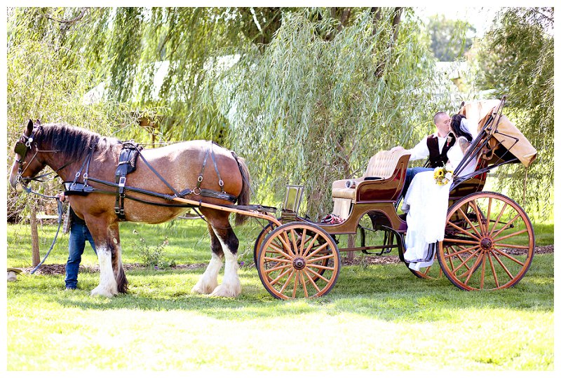 Mt Airy Maryland Wedding Photographer 