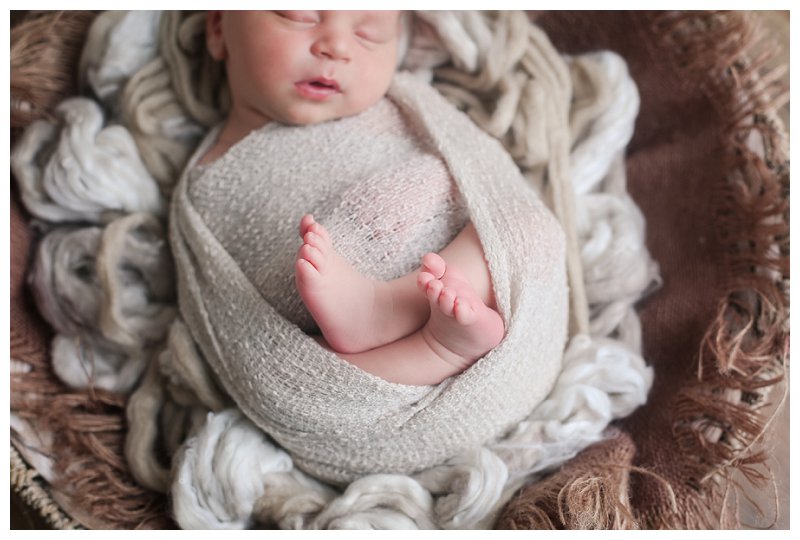Annapolis Newborn Photographer 