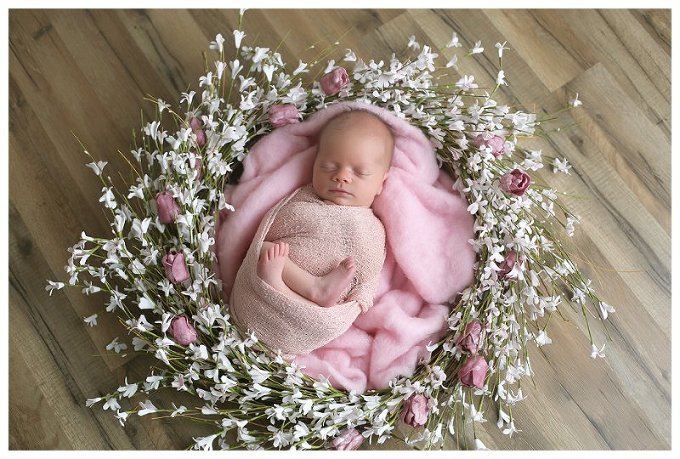 Annapolis Newborn Photographer 