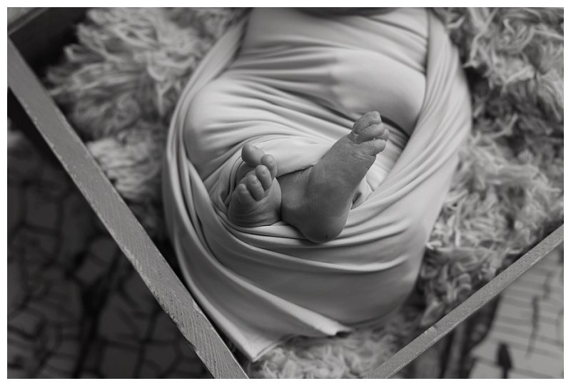 Annapolis Newborn Photographer 