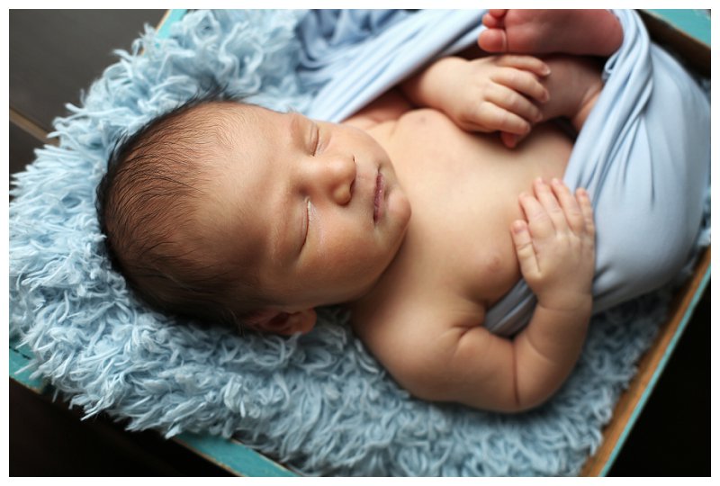 Annapolis Newborn Photographer
