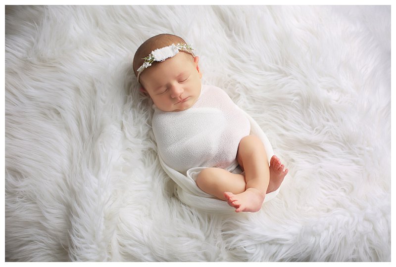 Annapolis Newborn Photographer 