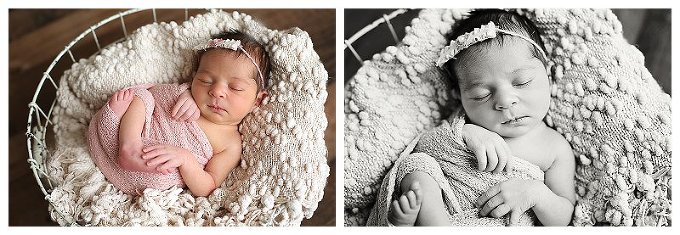 Annapolis Newborn Photographer 