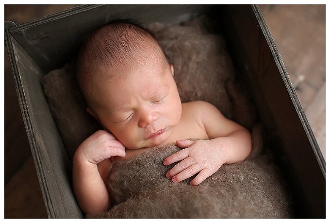 Annapolis Newborn Photographer 