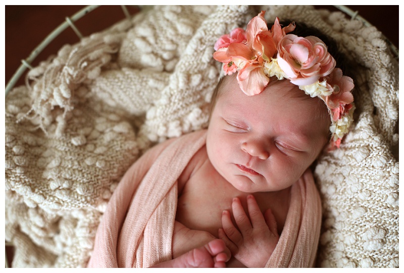 Annapolis Newborn Photographer