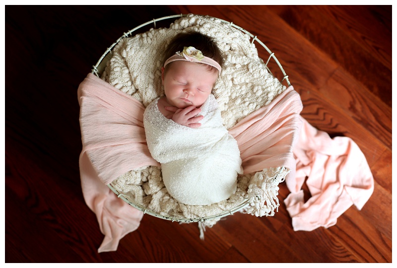 Annapolis Newborn Photographer