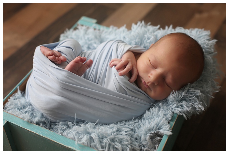 Annapolis Newborn Photographer
