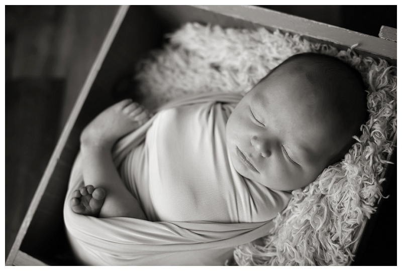 Annapolis Newborn Photographer