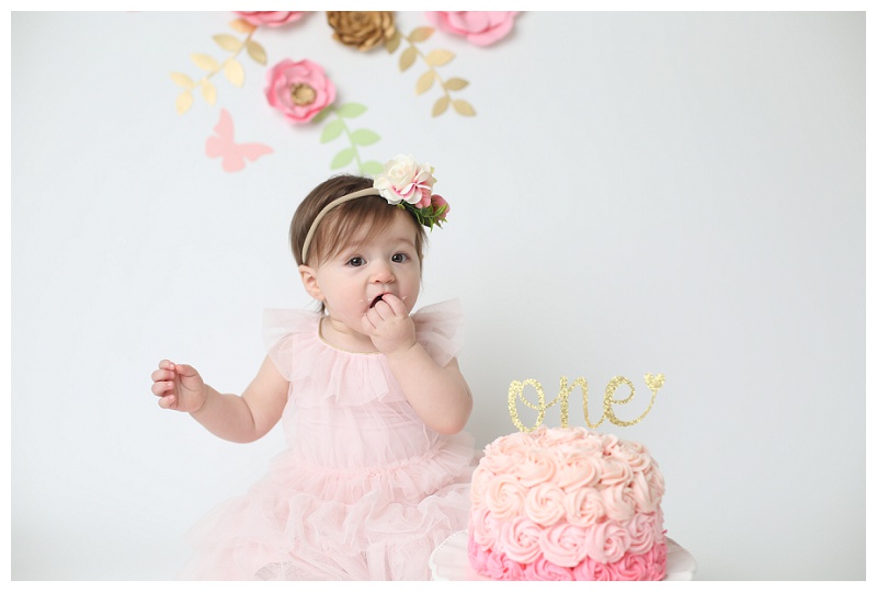 Annapolis Family photographer
