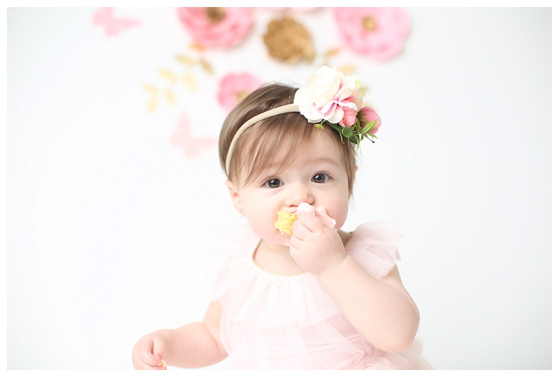 Annapolis Family photographer