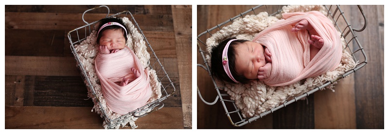 Annapolis Newborn Photographer